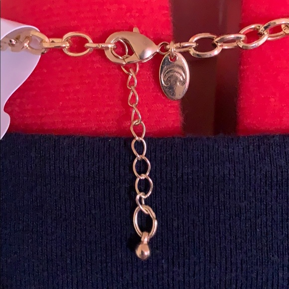 Charming Charlie Necklace - Picture 4 of 4